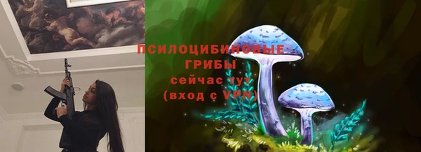 первитин Покачи