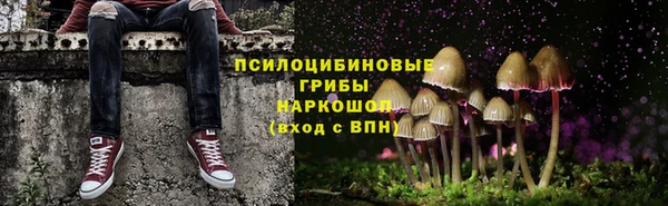 первитин Покачи