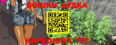 сатива Славгород