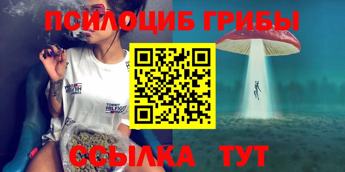Псилоцибиновые грибы мухоморы Тулун