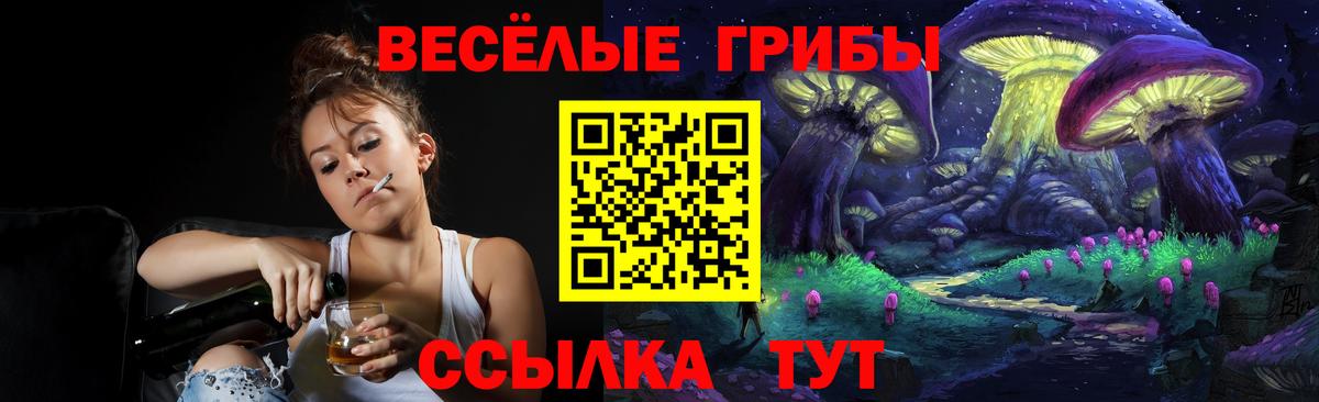 Тулун  Галлюциногенные грибы Cubensis  Вход с VPN 